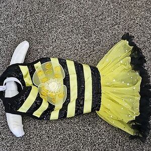 Bumblebee dog costume